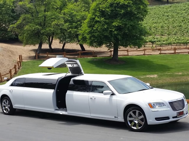 Limousine